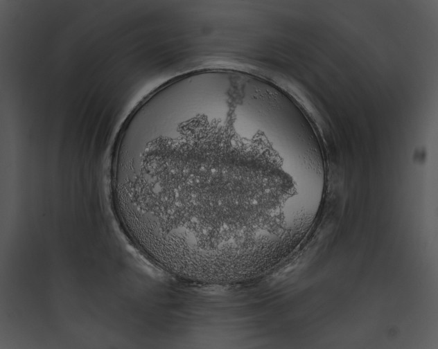 X0000089761048200707121359