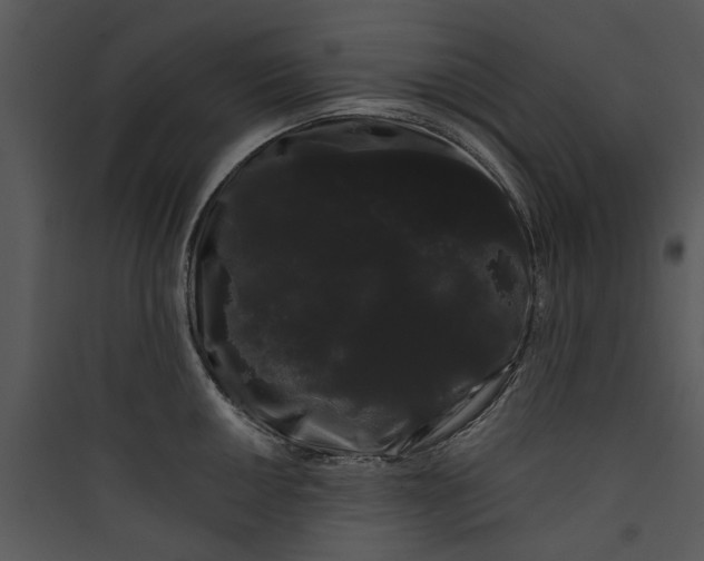 X0000089761050200707121359