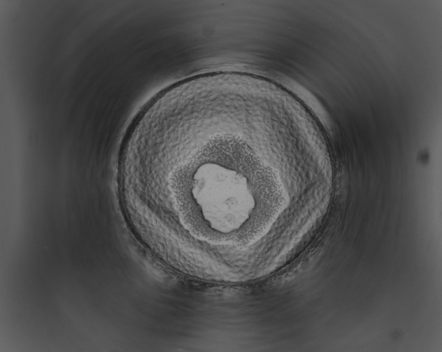 X0000089761051200707121359