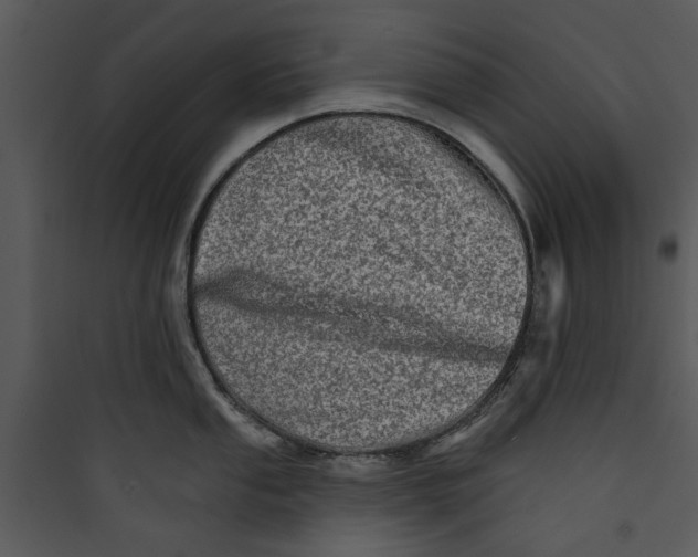 X0000089761053200707121359