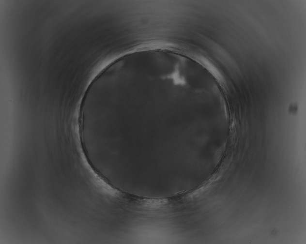 X0000089761055200707121359