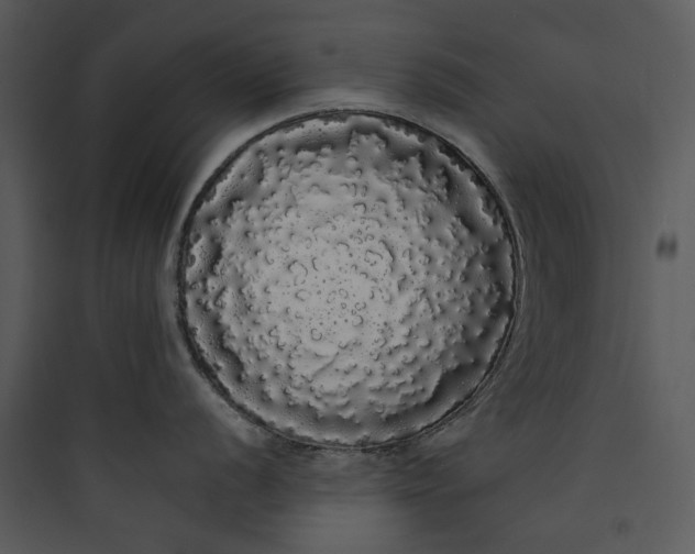 X0000089761056200707121359