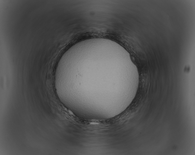 X0000089761057200707121358