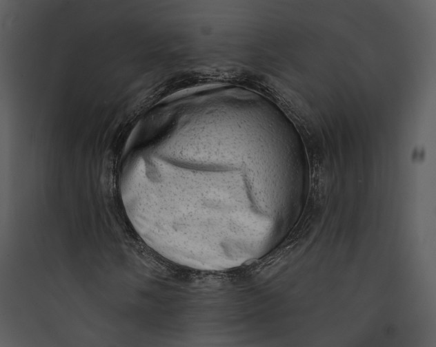 X0000089761058200707121358