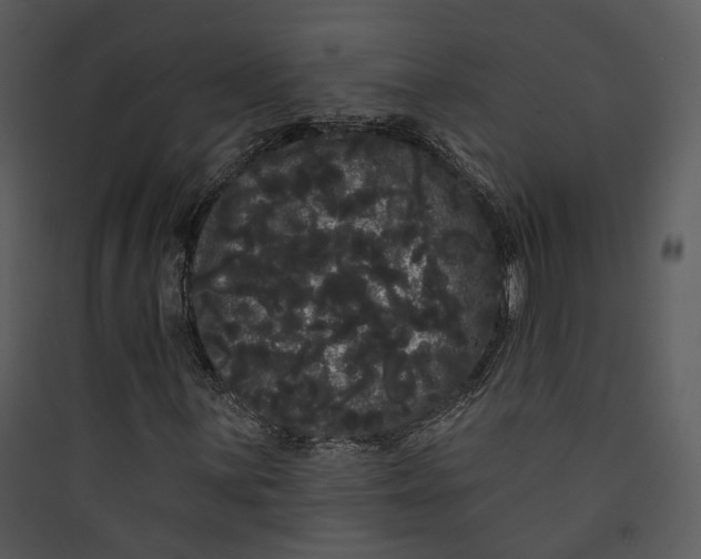 X0000089761059200707121358