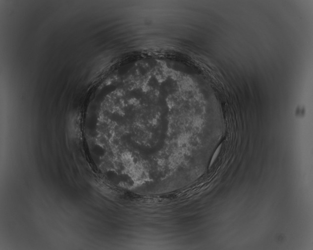 X0000089761060200707121358