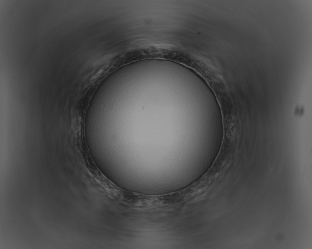 X0000089761061200707121358