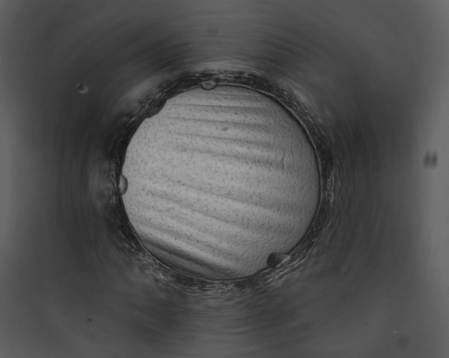 X0000089761062200707121358