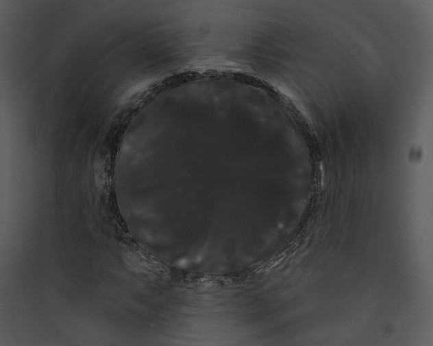 X0000089761063200707121358