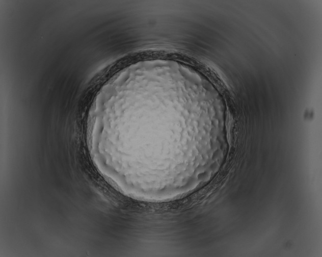 X0000089761064200707121358