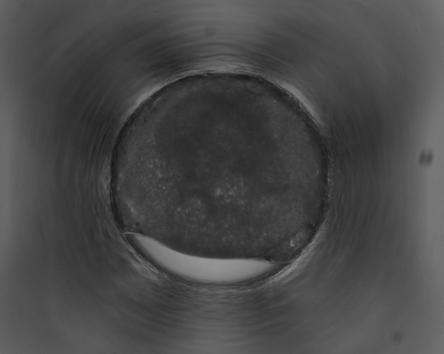 X0000089761065200707121358