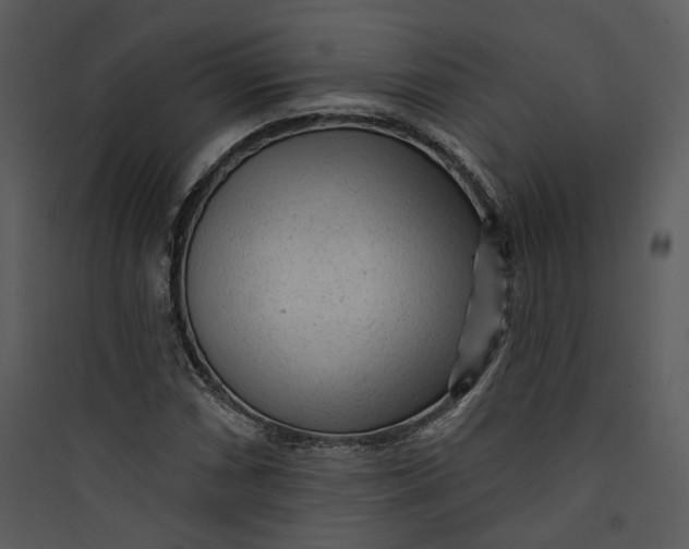 X0000089761066200707121358