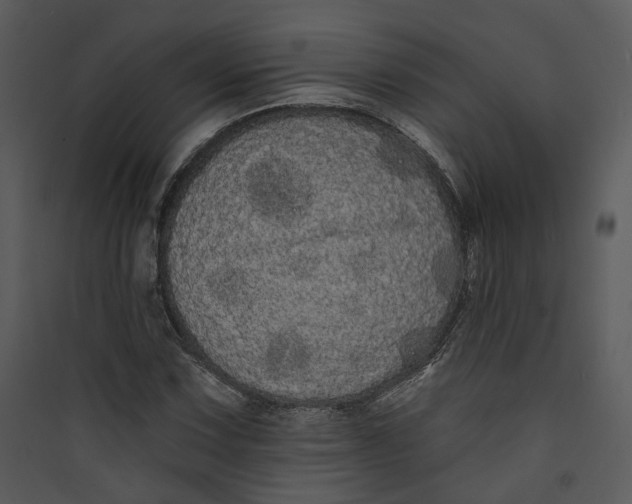 X0000089761067200707121358