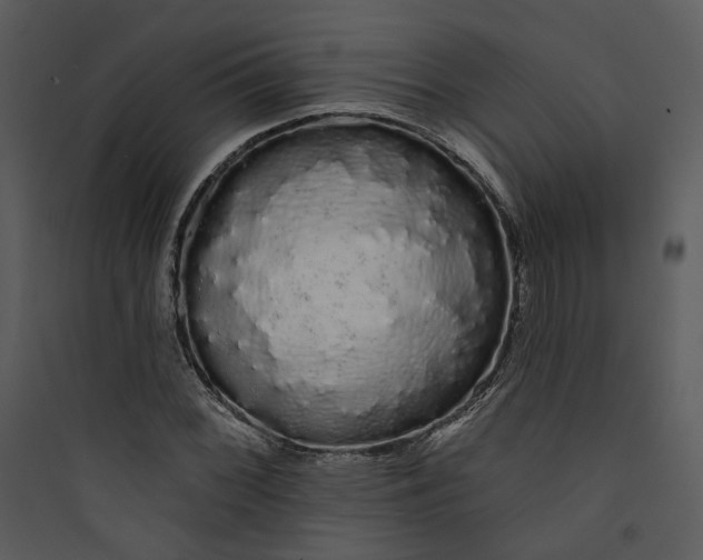 X0000089761068200707121358