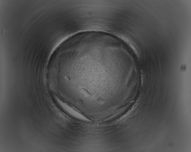 X0000089761069200707121358