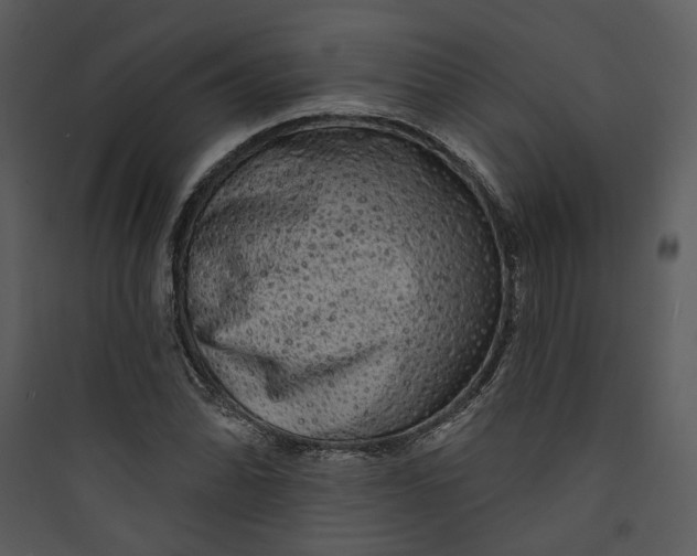 X0000089761070200707121358