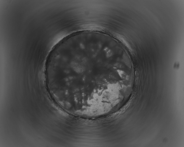 X0000089761071200707121358