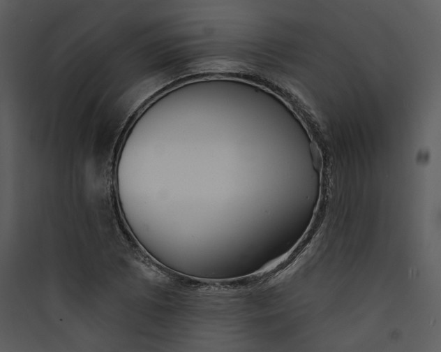 X0000089761073200707121358