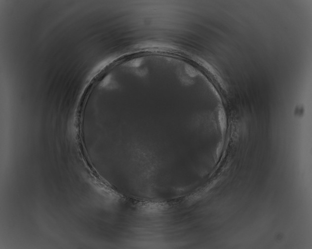 X0000089761074200707121358