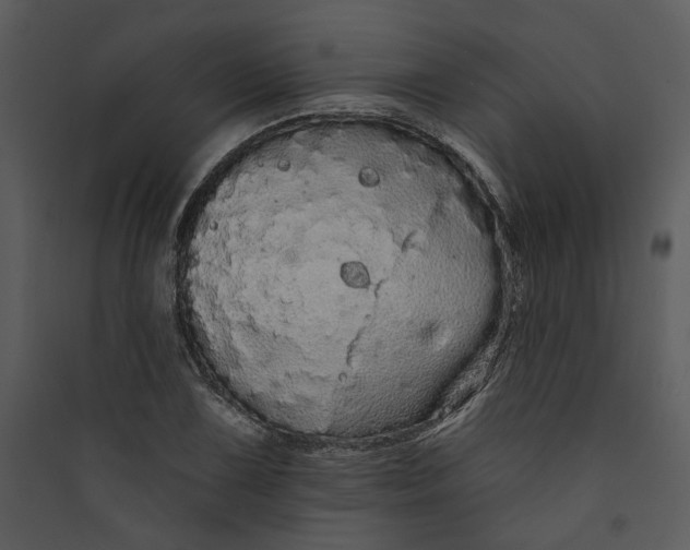 X0000089761075200707121358