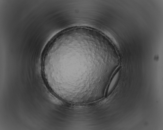 X0000089761076200707121358