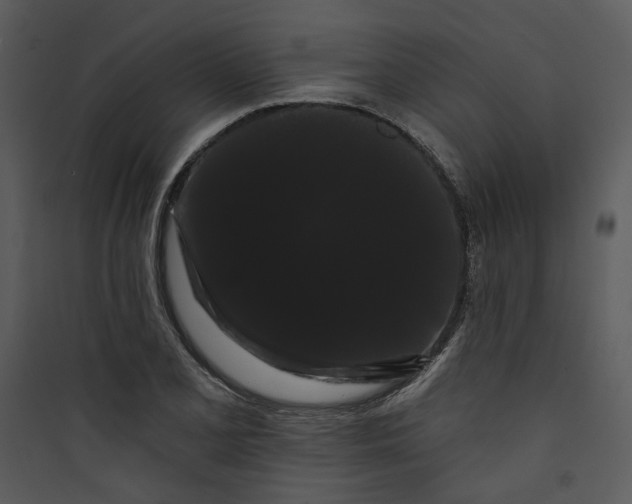 X0000089761077200707121358