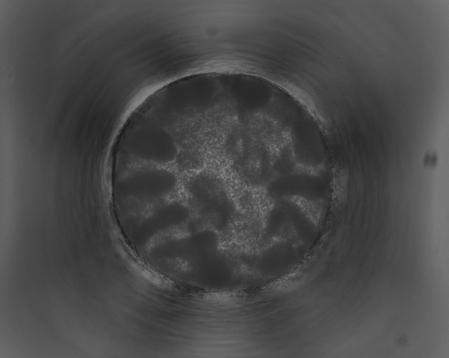 X0000089761078200707121358