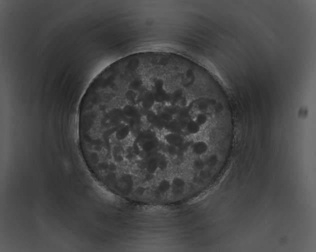 X0000089761079200707121358