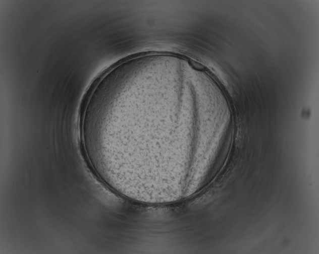 X0000089761080200707121358