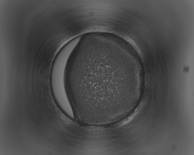 X0000089761081200707121358