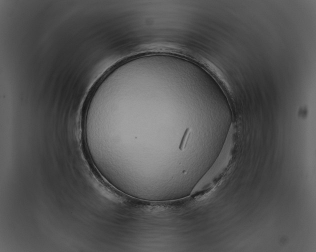 X0000089761082200707121358