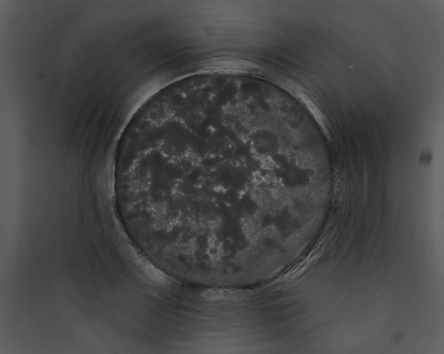 X0000089761083200707121358