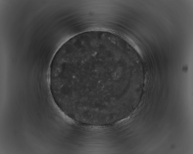 X0000089761084200707121358