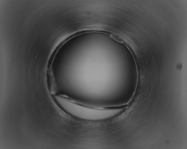 X0000089761085200707121358