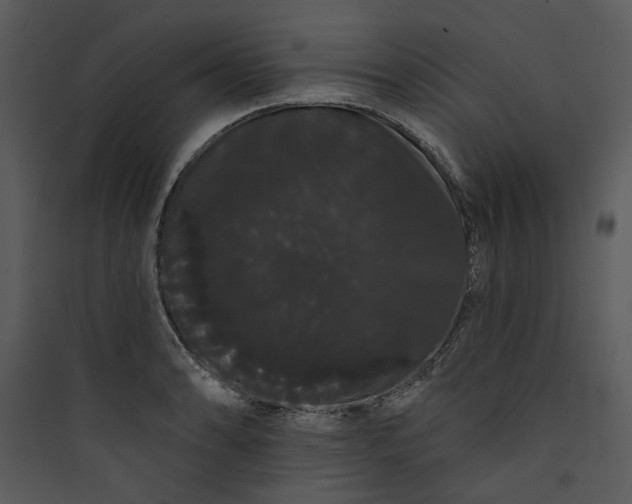 X0000089761086200707121358