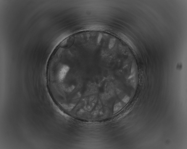 X0000089761087200707121358