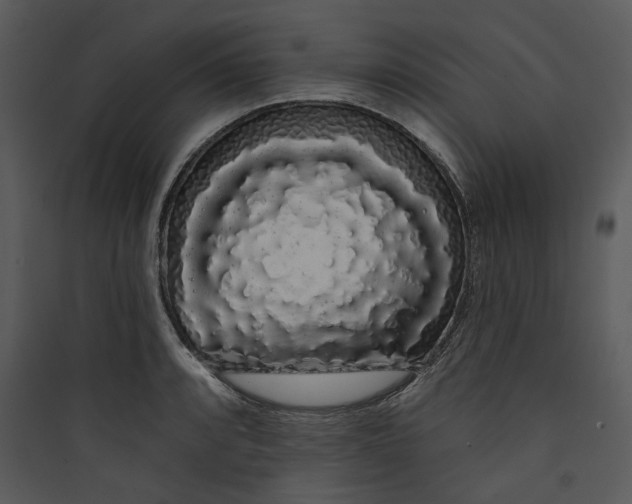 X0000089761088200707121358