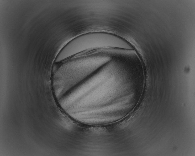 X0000089761089200707121358