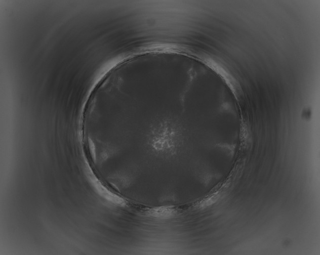 X0000089761090200707121358