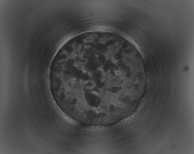 X0000089761091200707121358