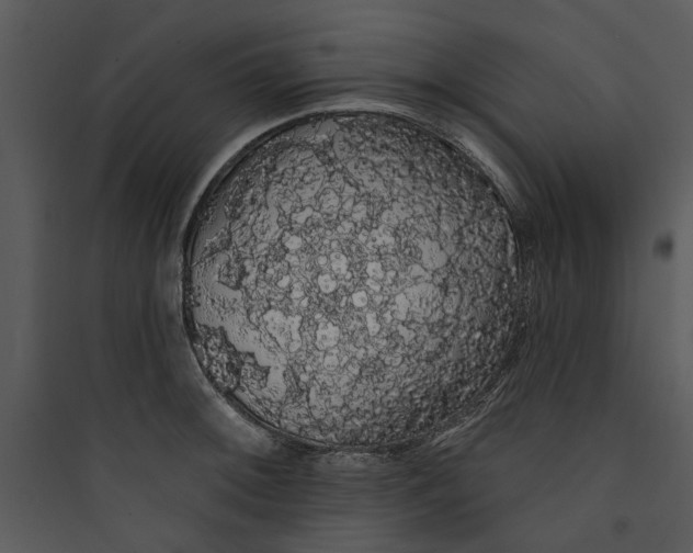 X0000089761092200707121358