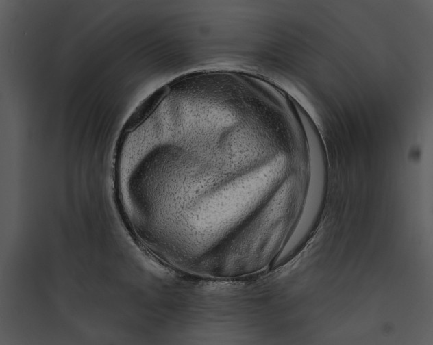 X0000089761093200707121358