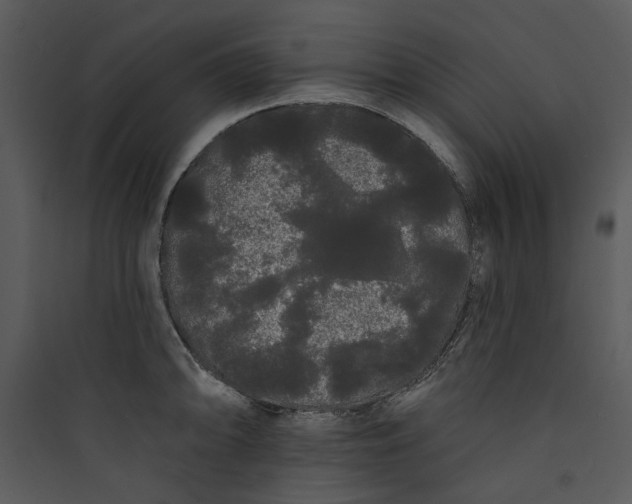 X0000089761094200707121358