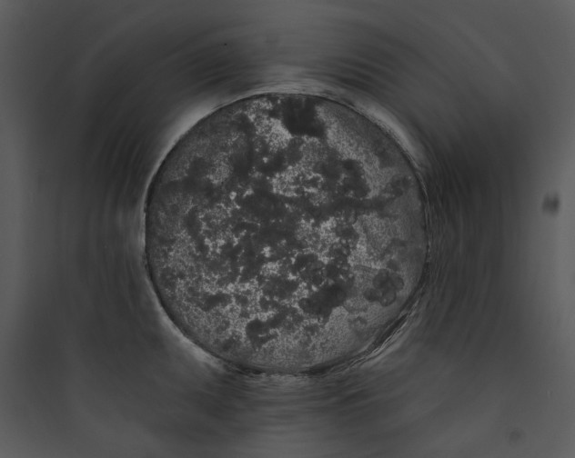 X0000089761095200707121358