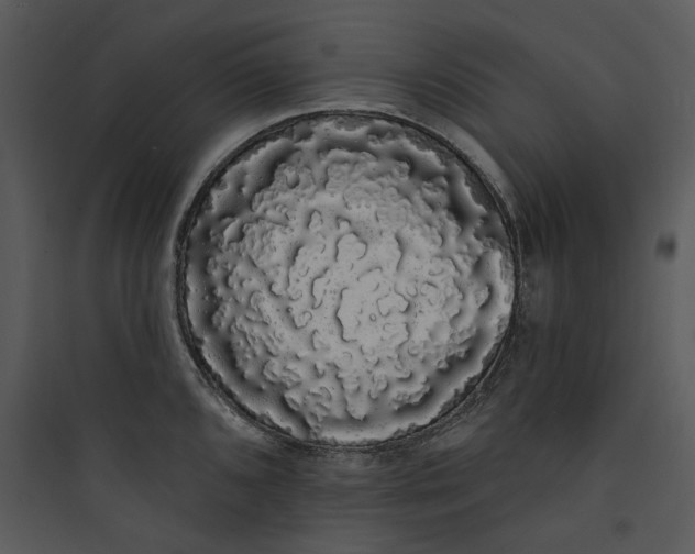 X0000089761096200707121358