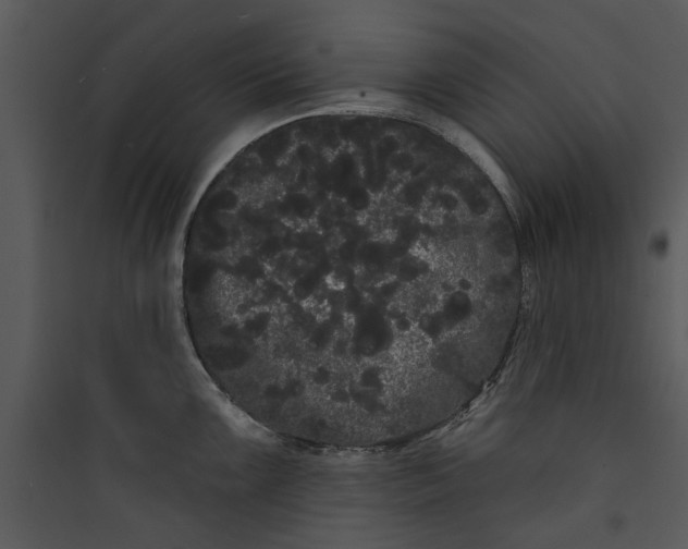 X0000089761099200707121358