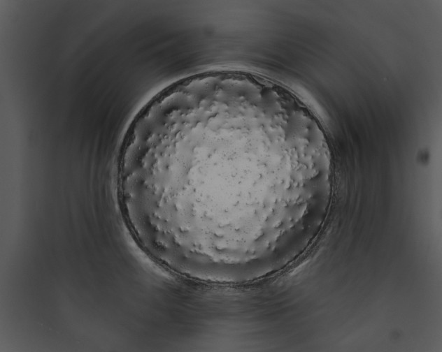 X0000089761100200707121358