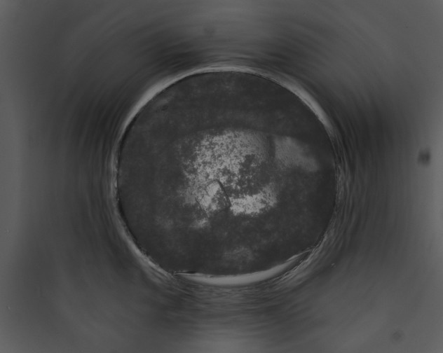 X0000089761101200707121358