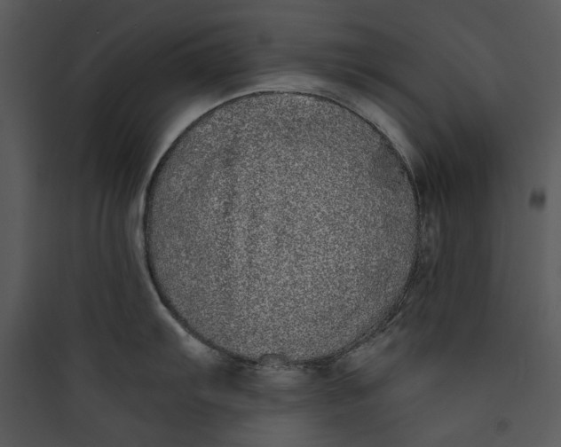 X0000089761103200707121358