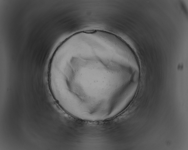 X0000089761104200707121358